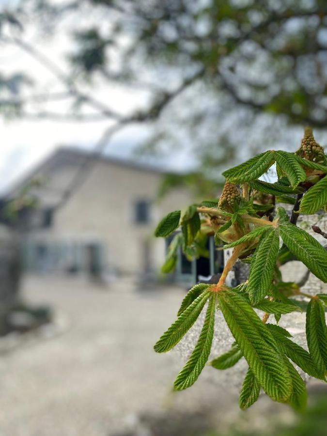 Bed and Breakfast Figtrees Margueron Exterior foto